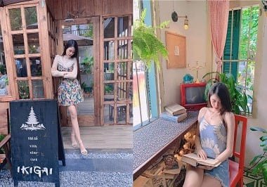 Bài thơ này có vẻ như đề cập đến chuyện ấy một cách phê phá