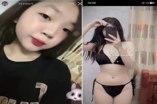 Thỏ đồ ăn vặt đắng cần từ phao hoa để bị hỏng toác