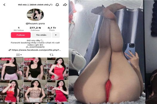 Thỏ miu nhún được chăm sóc chu đáo