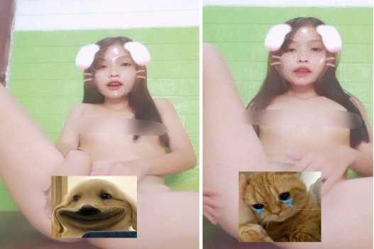 Thỏ bướm nhiều nước đụ được biết đến như con tik toker là một loại thỏ bướm rất sôi động